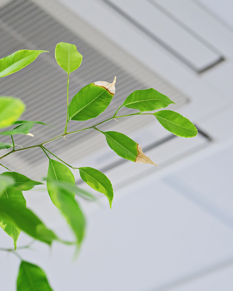 indoor air quality testing