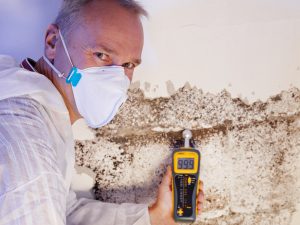 asbestos inventory services